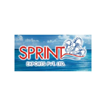 Sprint Exports logo